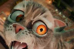 FJOR4Q8tVy4