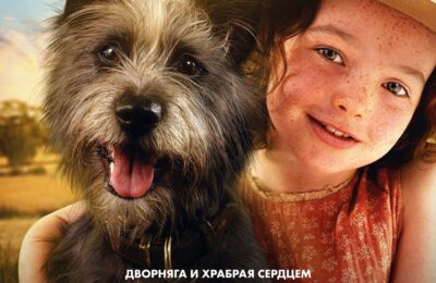 Мой любимый двортерьер с 29 ноября по 04  декабря
